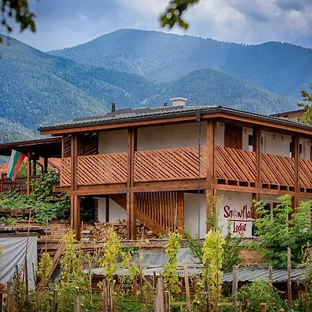 сноуфлейк Snowflake And Snowflake * Bansko