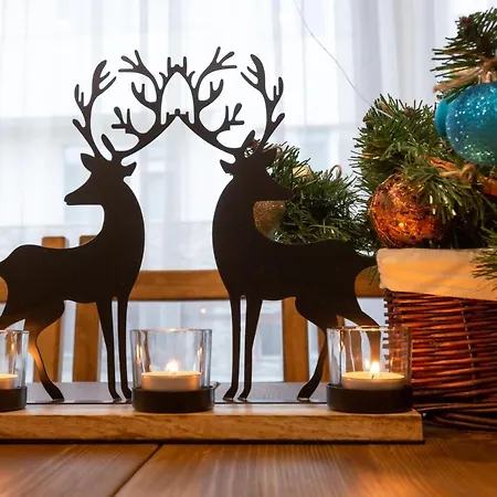 сноуфлейк Snowflake And Snowflake * Bansko