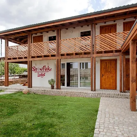 сноуфлейк Snowflake And Snowflake Hébergement de vacances Bansko